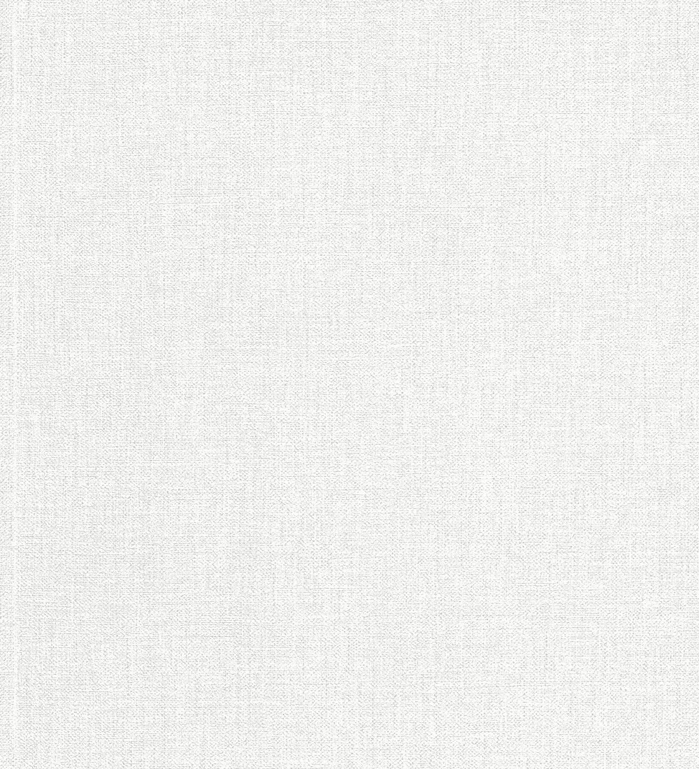 Papel pintado Erismann ColourTexture 10450-01  | 1045001 