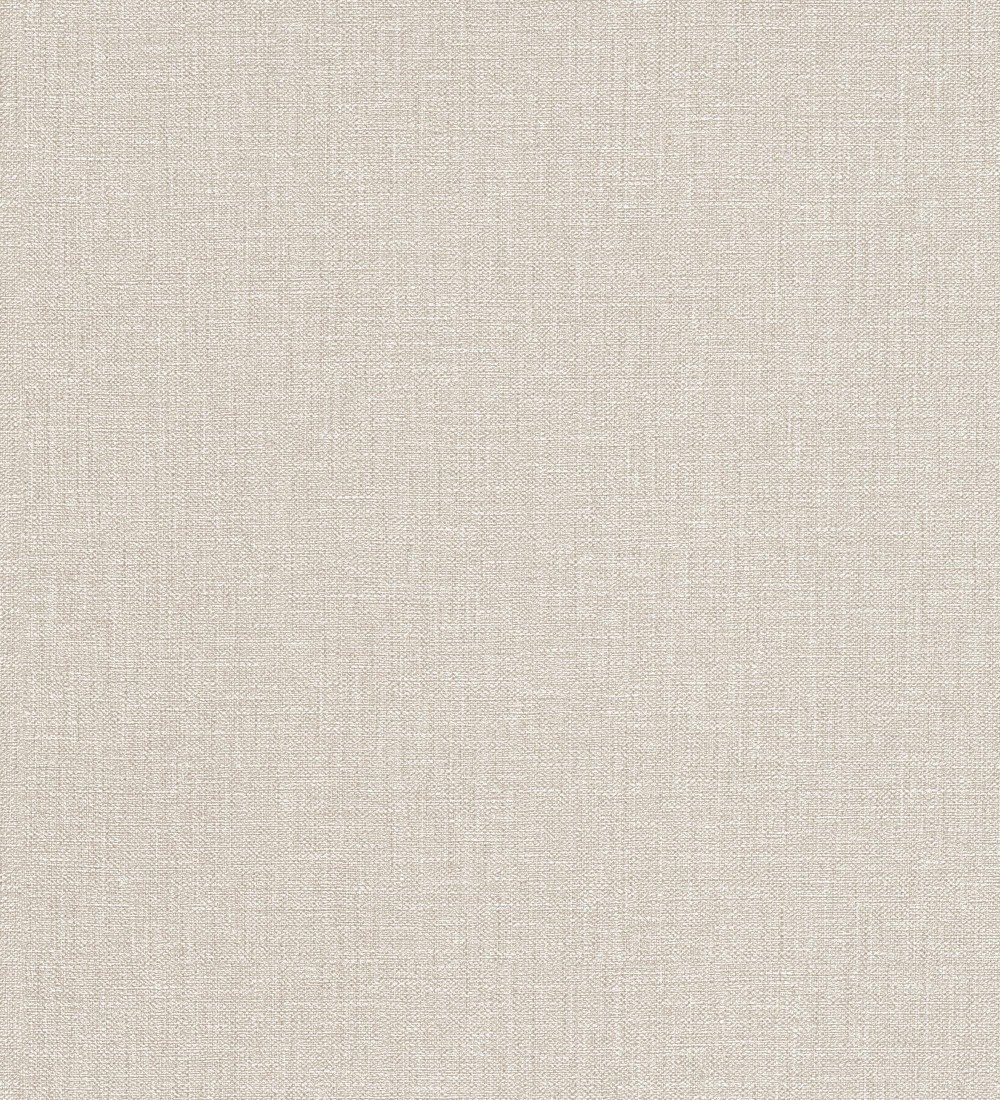 Papel pintado Erismann ColourTexture 10450-02  | 1045002 