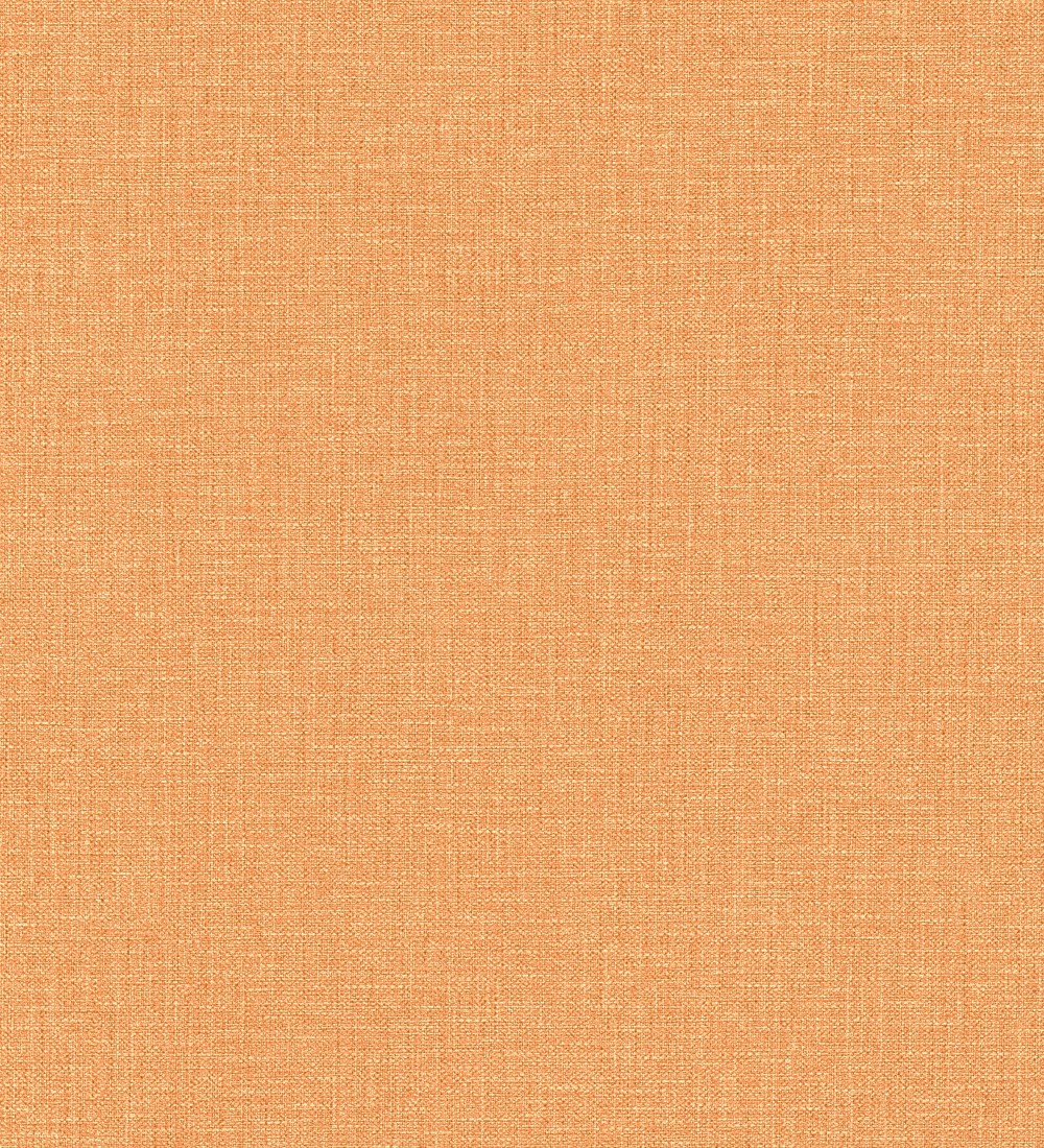 Papel pintado Erismann ColourTexture 10450-04  | 1045004 