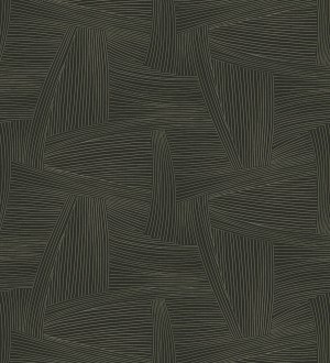 Papel pintado de líneas abstractas fondo negro Miller Interweave 683862