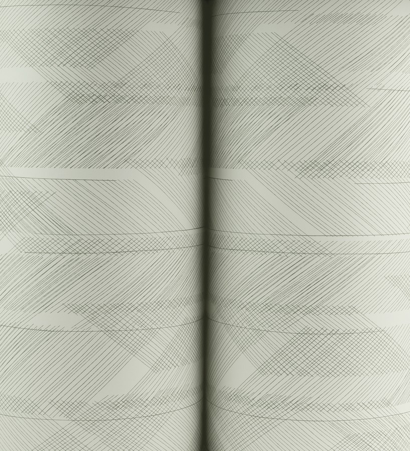 Papel pintado de trazado etéreo con líneas finas en verde  Nexus Interlaced 683866