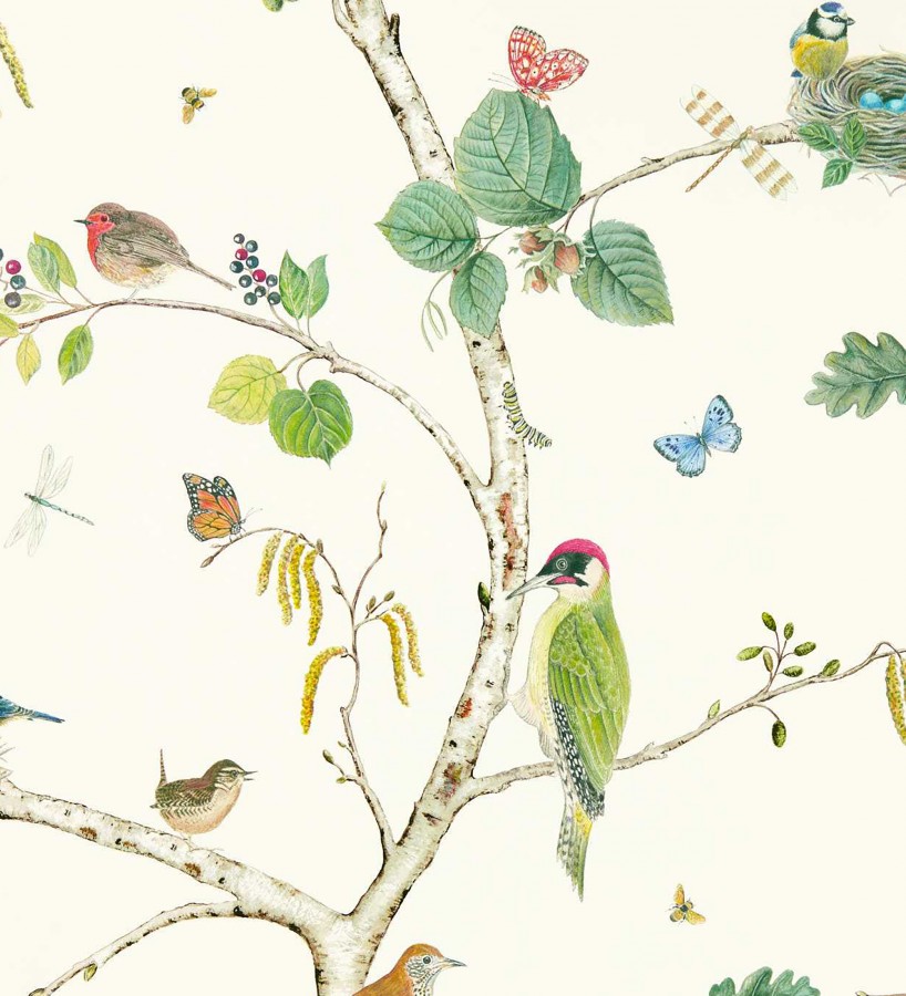 Papel pintado de pájaros y mariposas  Avon Birdie 684170