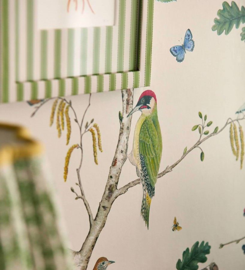 Papel pintado de pájaros y mariposas  Avon Birdie 684170