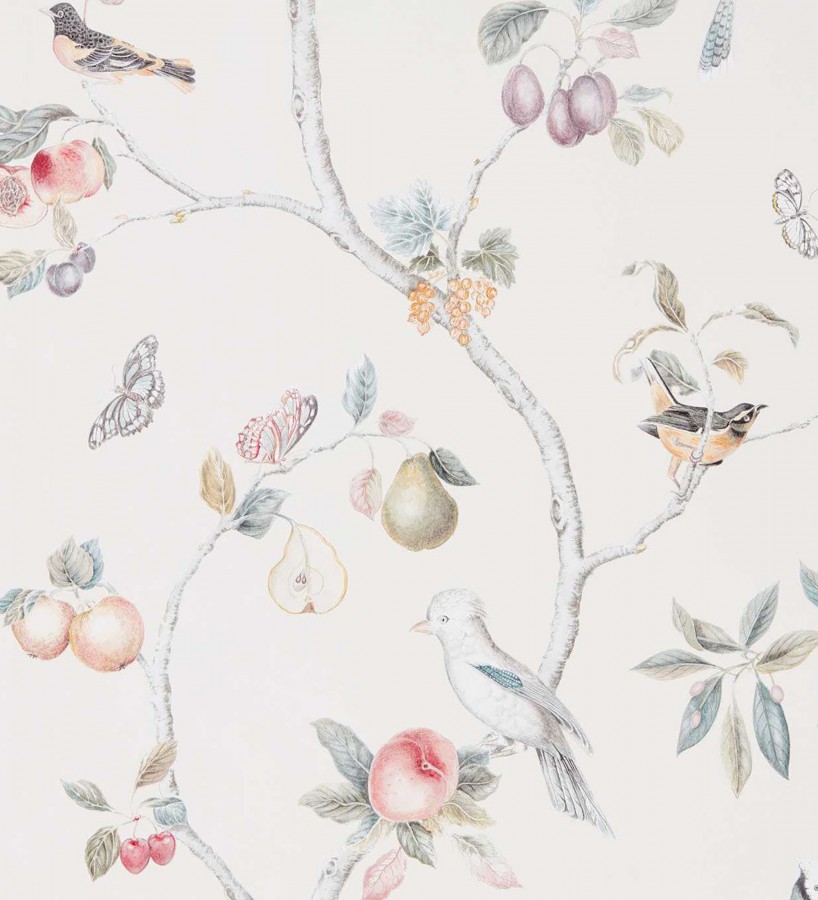 Papel pintados de pájaros y frutos  Birdie Dainty 684173