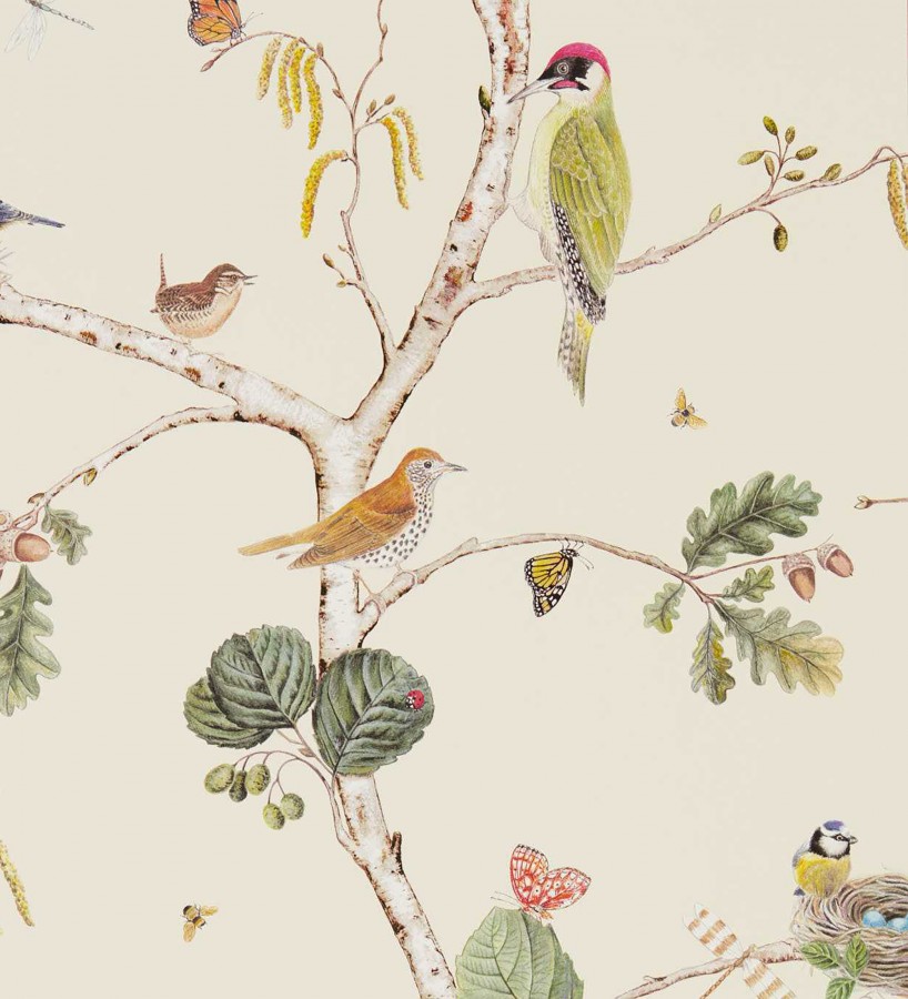 Papel pintado de pájaros y mariposas  Avon Birdie 684195