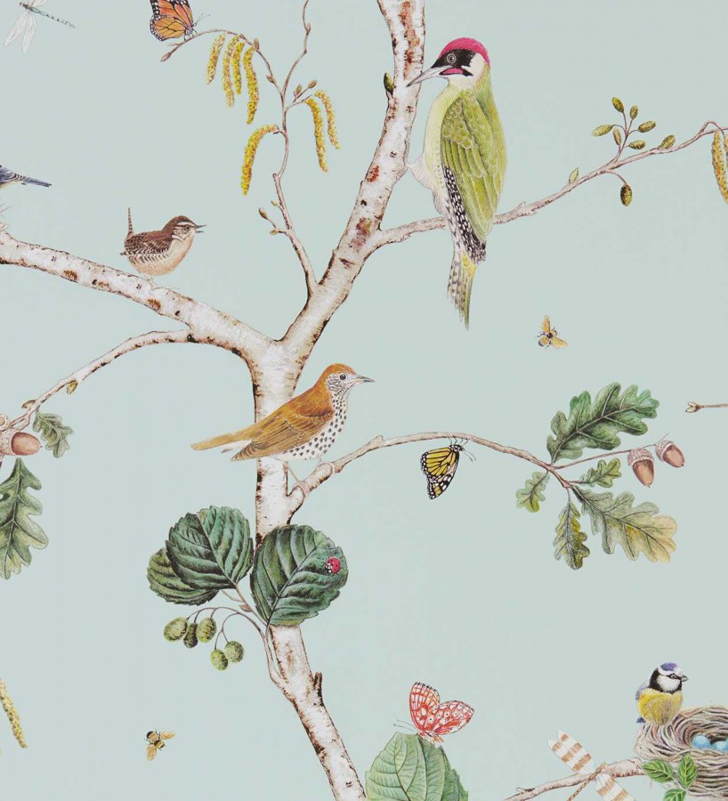 Papel pintado de pájaros y mariposas  Avon Birdie 684196