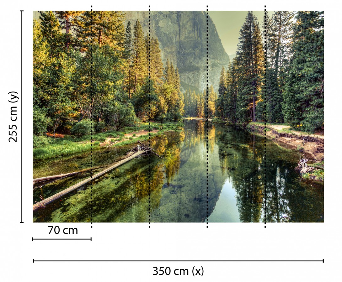 Papel pintado mural reflejos de montaña y bosque con luz de mañana  Everest Valley 684719