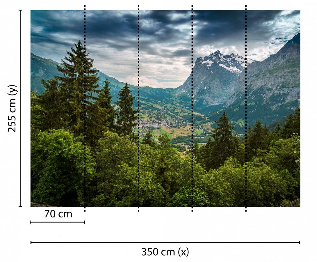 Papel pintado mural valle alpino con aldea y cumbres nevadas  Nature Haven 684720