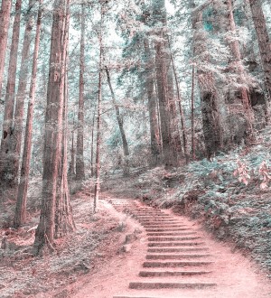 Papel pintado Everest Valley 684724 Everest Valley 684724