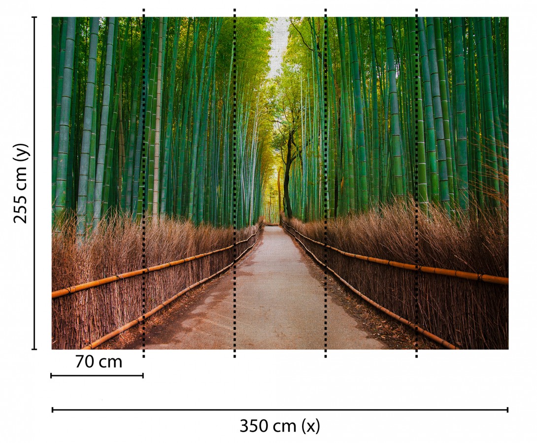 Papel pintado mural bosque de bambú profundo estilo oriental  Odessa Trail 684725