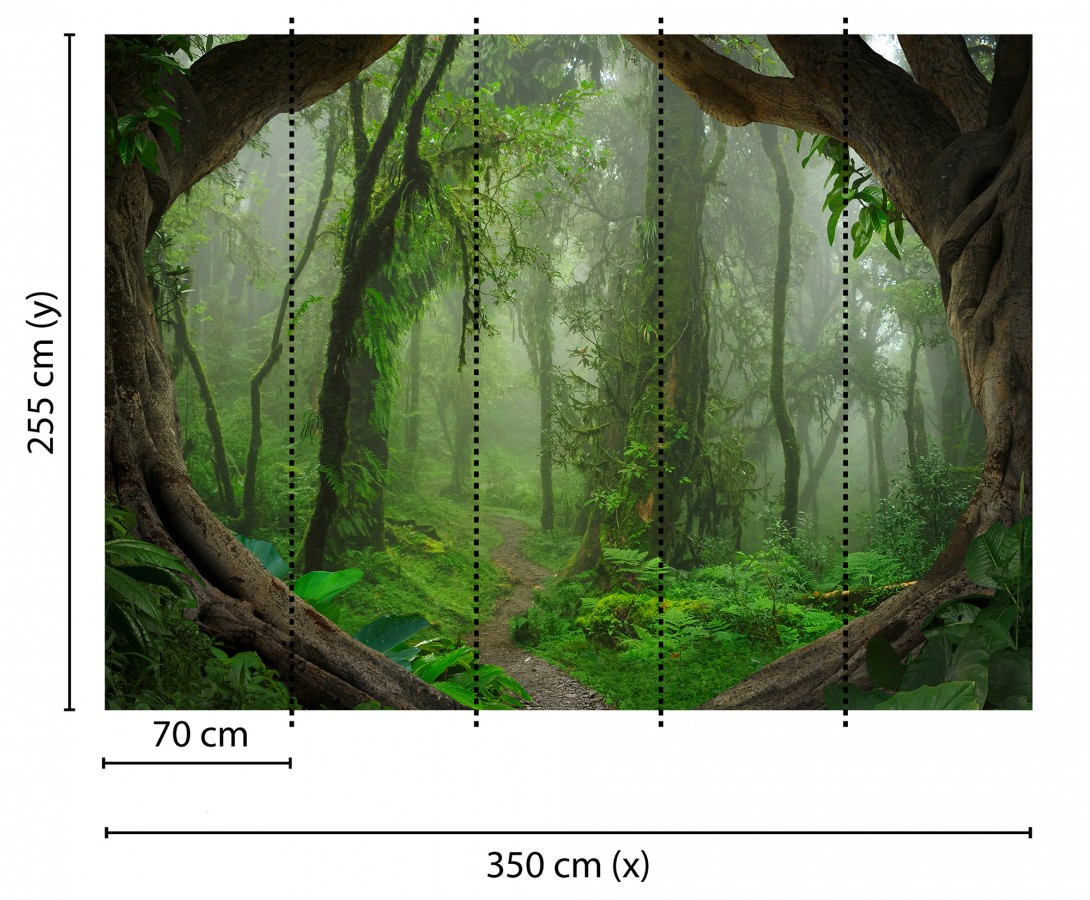Papel pintado mural sendero natural en jungla exótica y niebla  Everest Valley 684726