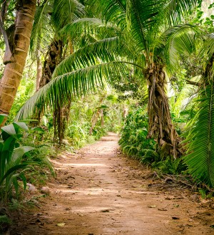 Papel pintado Everest Valley 684727 Everest Valley 684727