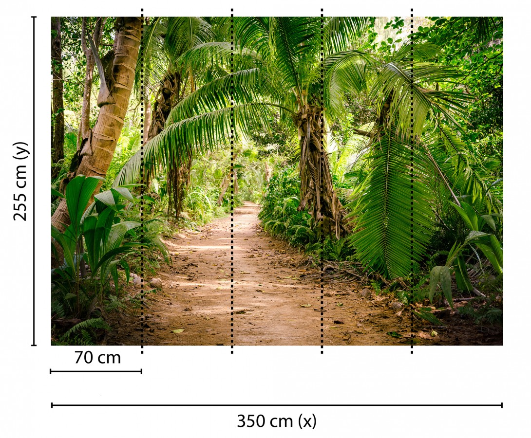 Papel pintado mural sendero tropical entre palmeras y luz de sol  Everest Valley 684727