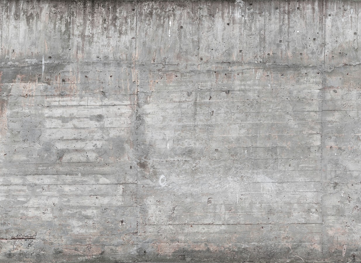 Papel pintado mural de hormigón con marcas de encofrado lineal  Industrial Charm 684758