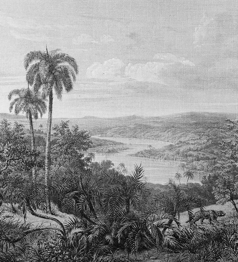 Papel pintado mural ilustración panorámica de naturaleza exótica en blanco y negro  Majestic Pathway 684778