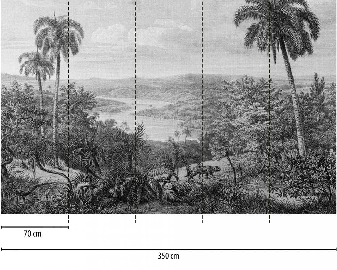 Papel pintado mural ilustración panorámica de naturaleza exótica en blanco y negro  Majestic Pathway 684778