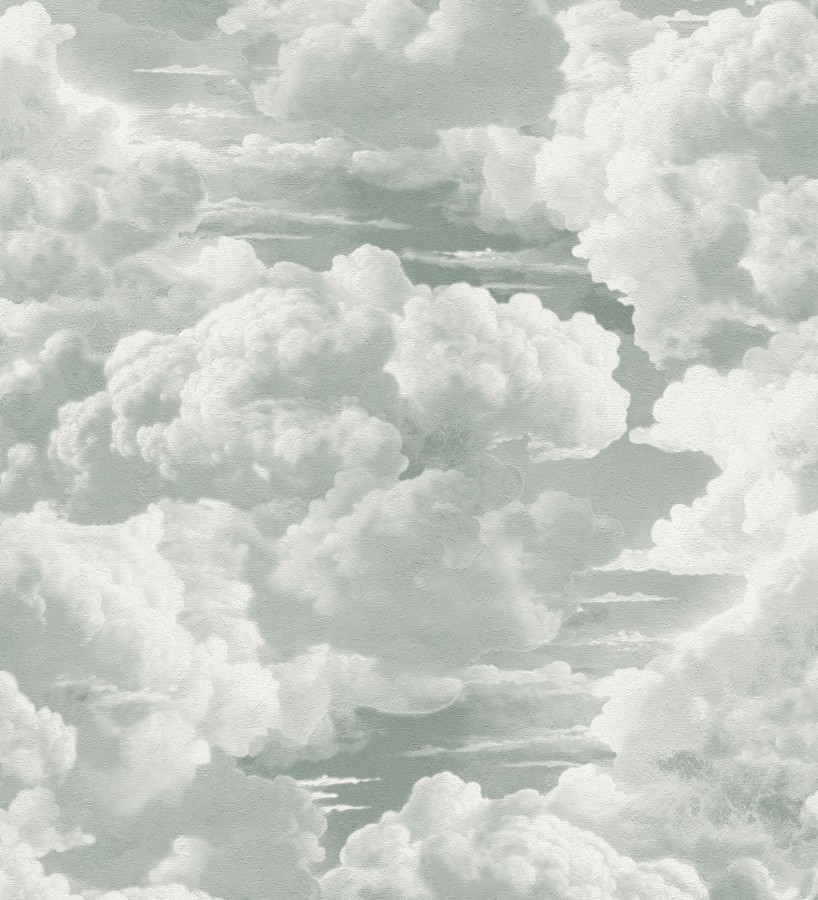 Papel pintado de nubes con textura de pintura al óleo y estilo etéreo gris verdoso  Skye Eden 684931