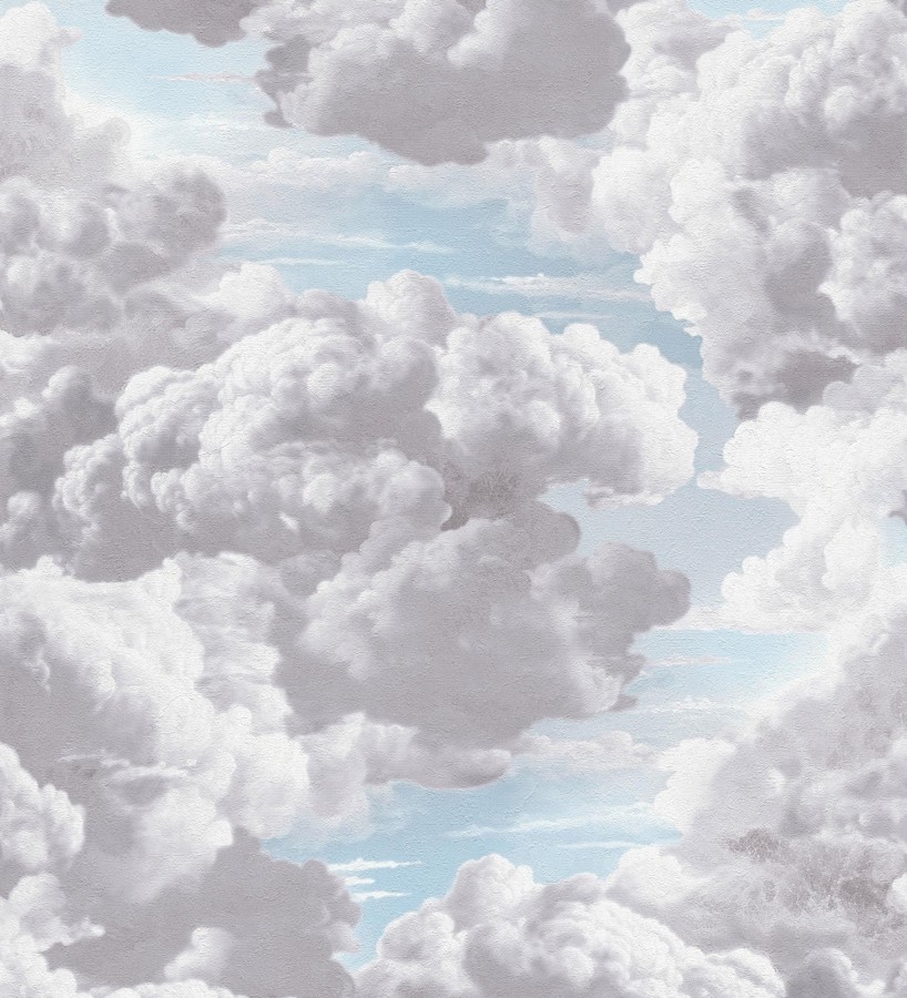 Papel pintado nubes grises óleo etéreo textura pictórica fondo cielo  Skye Eden 684935