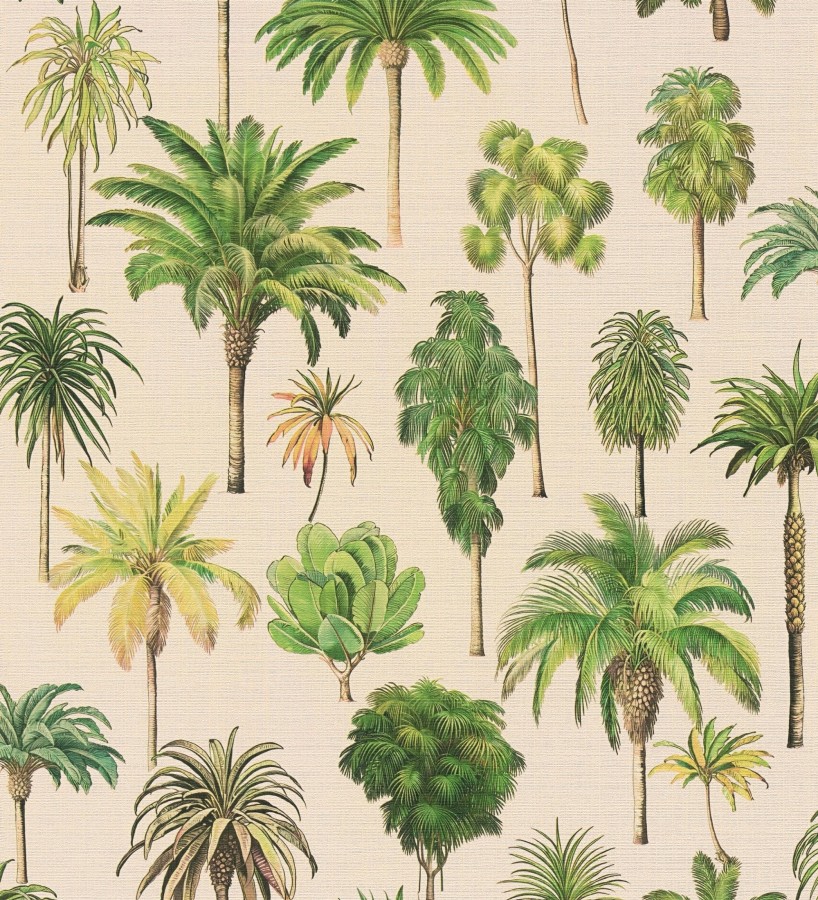 Papel pintado botánico de palmeras coloniales fondo arena  Savanna Palm 684991