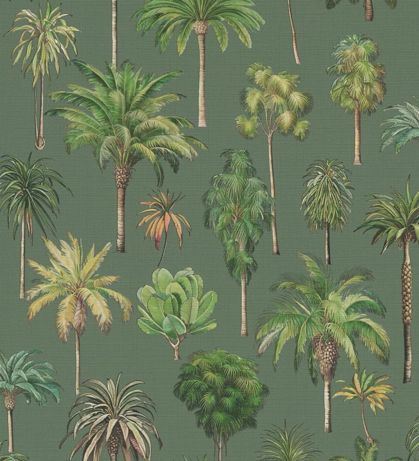 Papel pintado botánico de palmeras coloniales fondo verde  Savanna Palm 684992