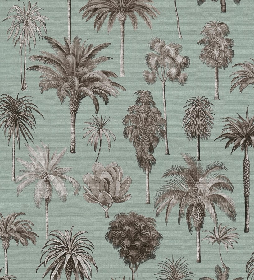 Papel pintado botánico de palmeras coloniales fondo verde agua  Savanna Palm 684993