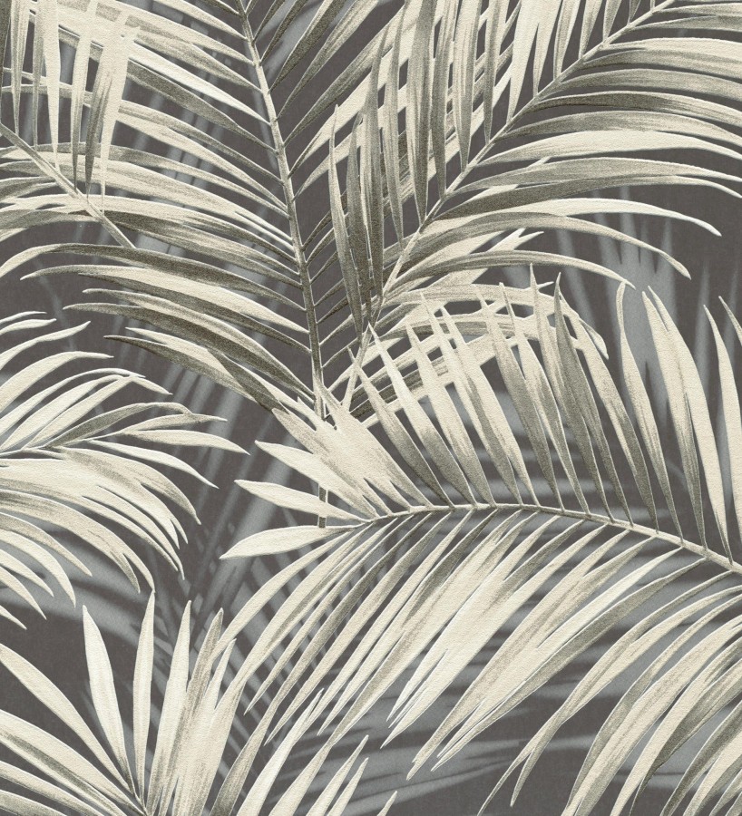 Papel pintado hojas de palmera en relieve beige fondo marrón chocolate  Borneo Leaf 685149