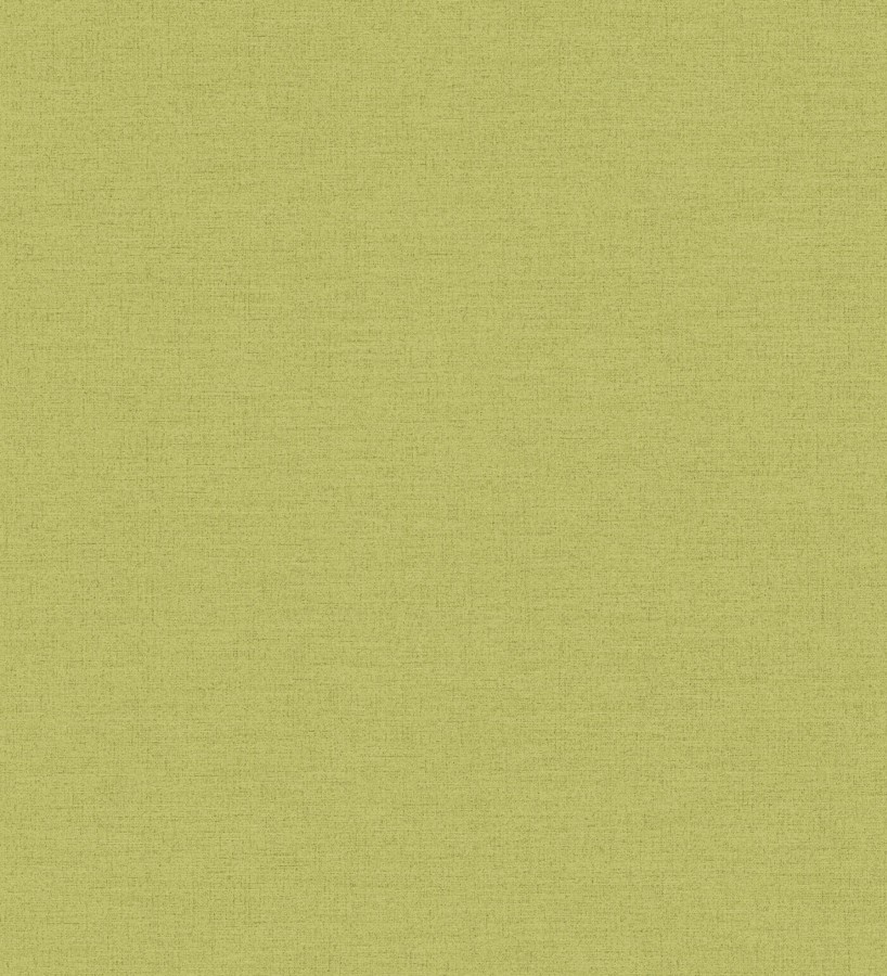 Papel pintado liso con textura lienzo pintado verde lima oscuro  Brighton Sage 685324