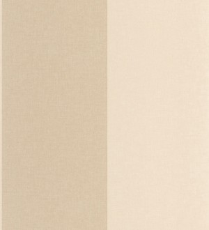 Papel pintado Caselio Line Up 106721000