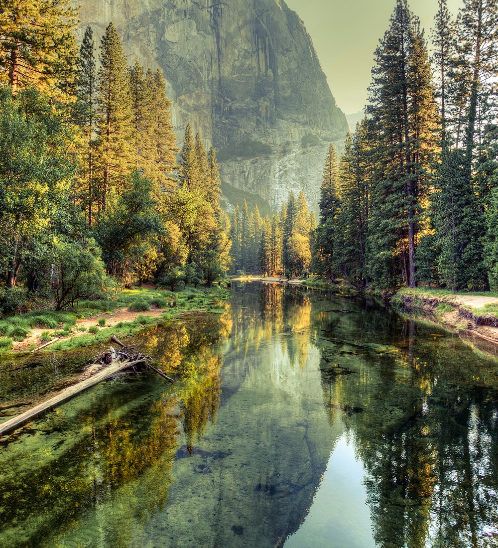 Papel pintado As Creation Designwalls DD118618  