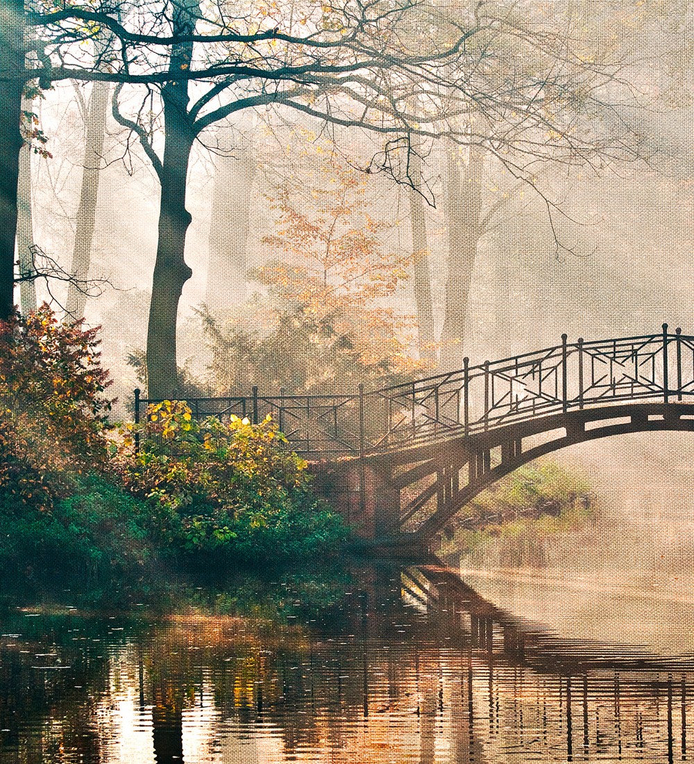 Papel pintado As Creation Designwalls DD118622  