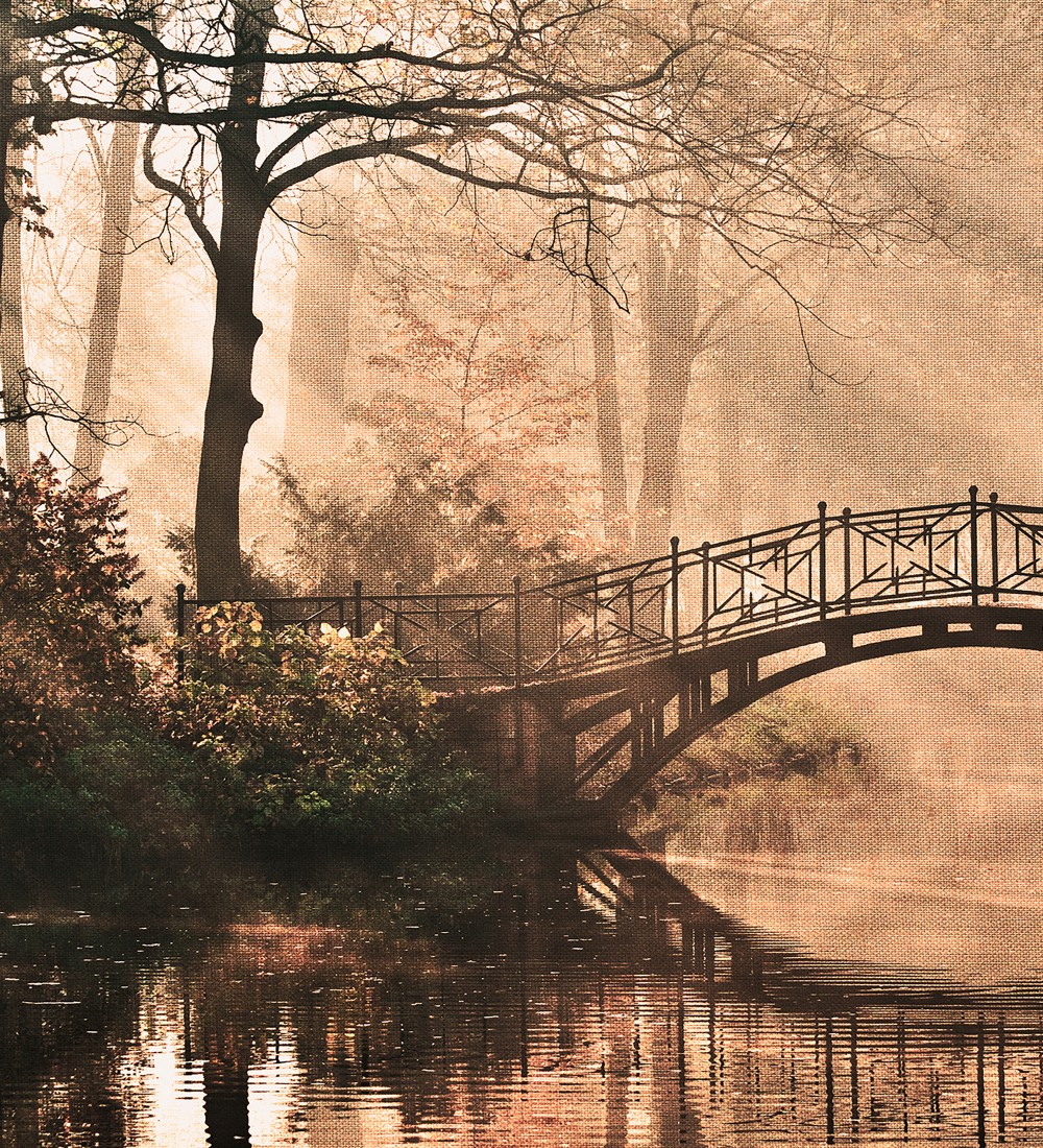 Papel pintado As Creation Designwalls DD118624  