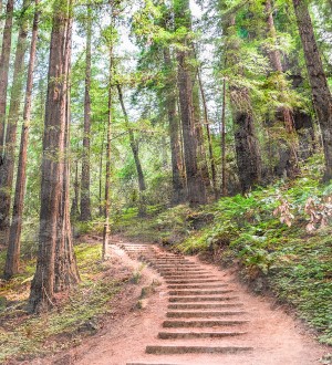 Papel pintado As Creation Designwalls DD118626