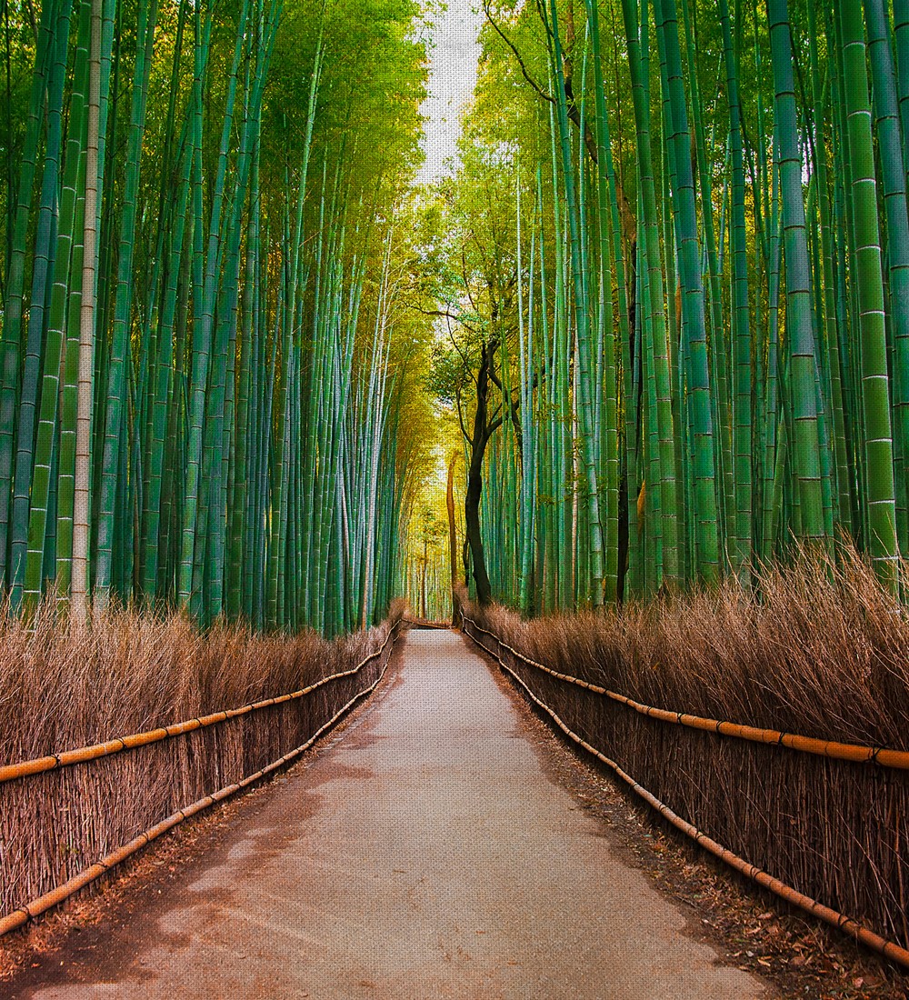 Papel pintado As Creation Designwalls DD118630  