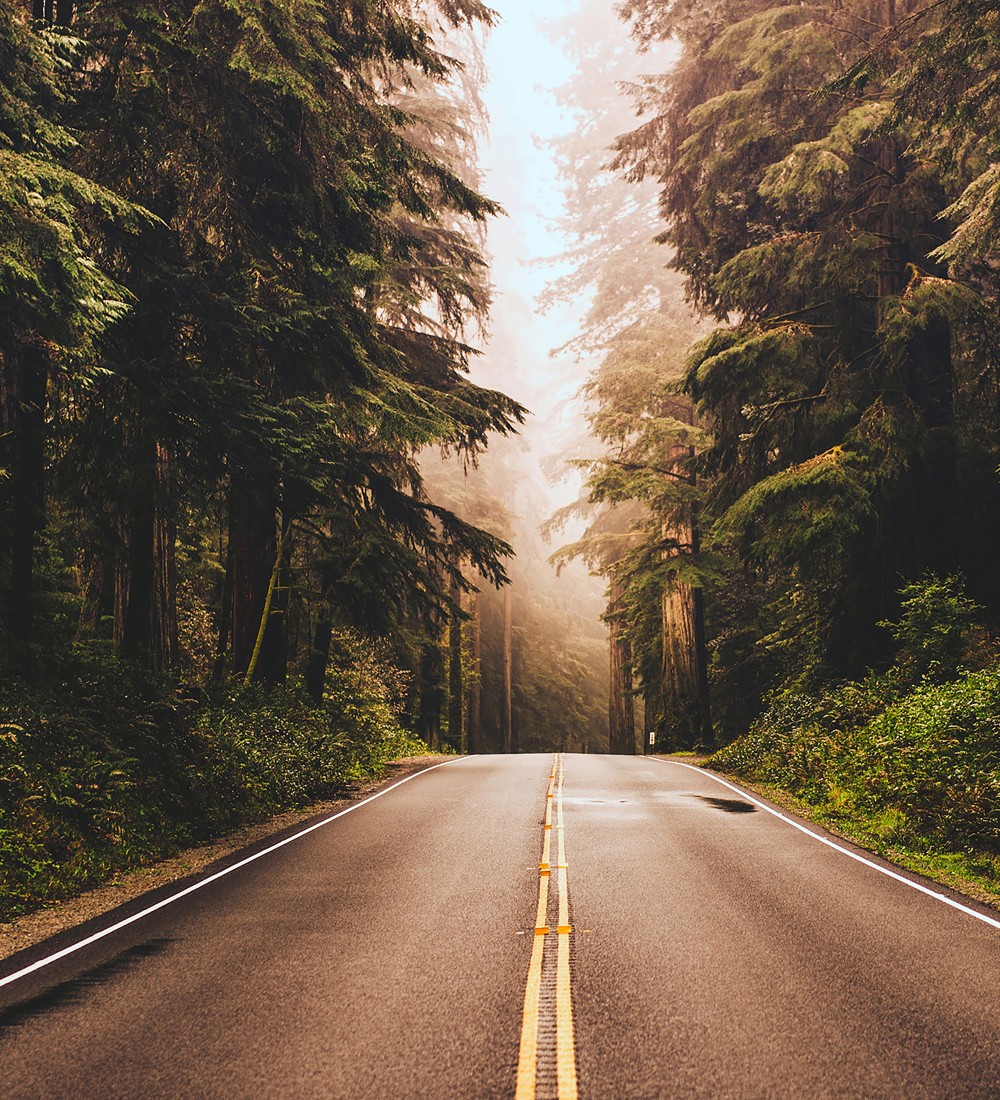 Papel pintado As Creation Designwalls DD118636  