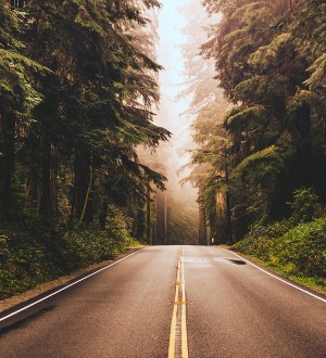 Papel pintado As Creation Designwalls DD118636