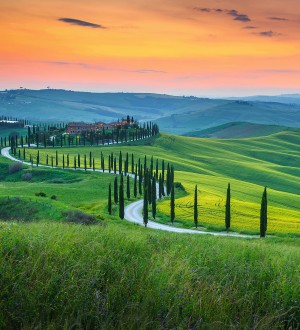 Papel pintado As Creation Designwalls DD118650