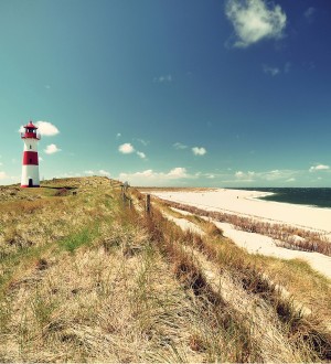 Papel pintado As Creation Designwalls DD118654