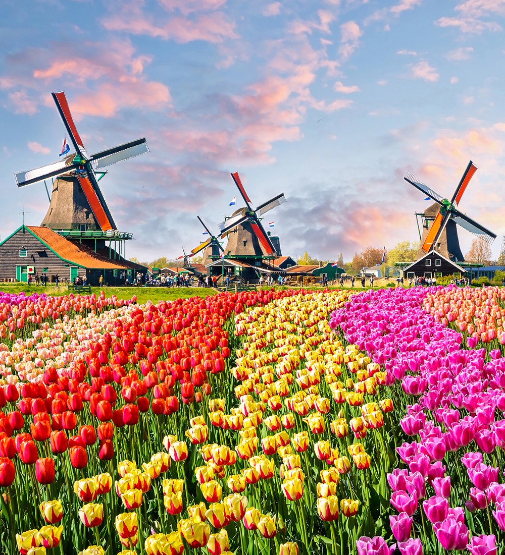 Papel pintado As Creation Designwalls DD118694  