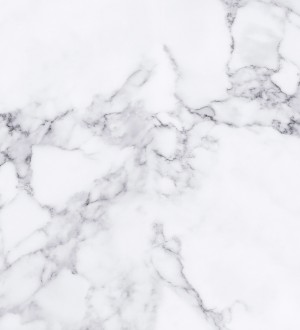 Papel pintado As Creation Designwalls DD118754