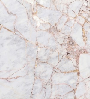 Papel pintado As Creation Designwalls DD118760