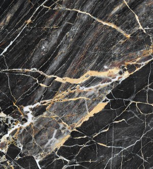 Papel pintado As Creation Designwalls DD118762