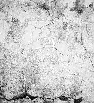 Papel pintado As Creation Designwalls DD118768