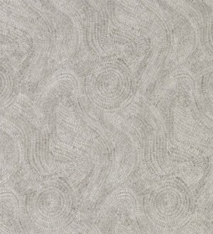 Papel pintado Zoffany Toile And Metals 2025 ZPHA312596