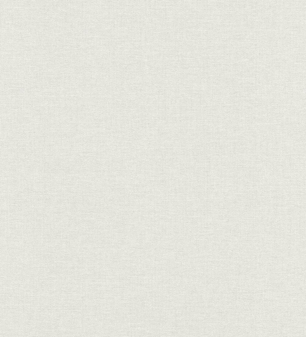 Papel pintado Erismann ColourTexture 10510-01  | 1051001 