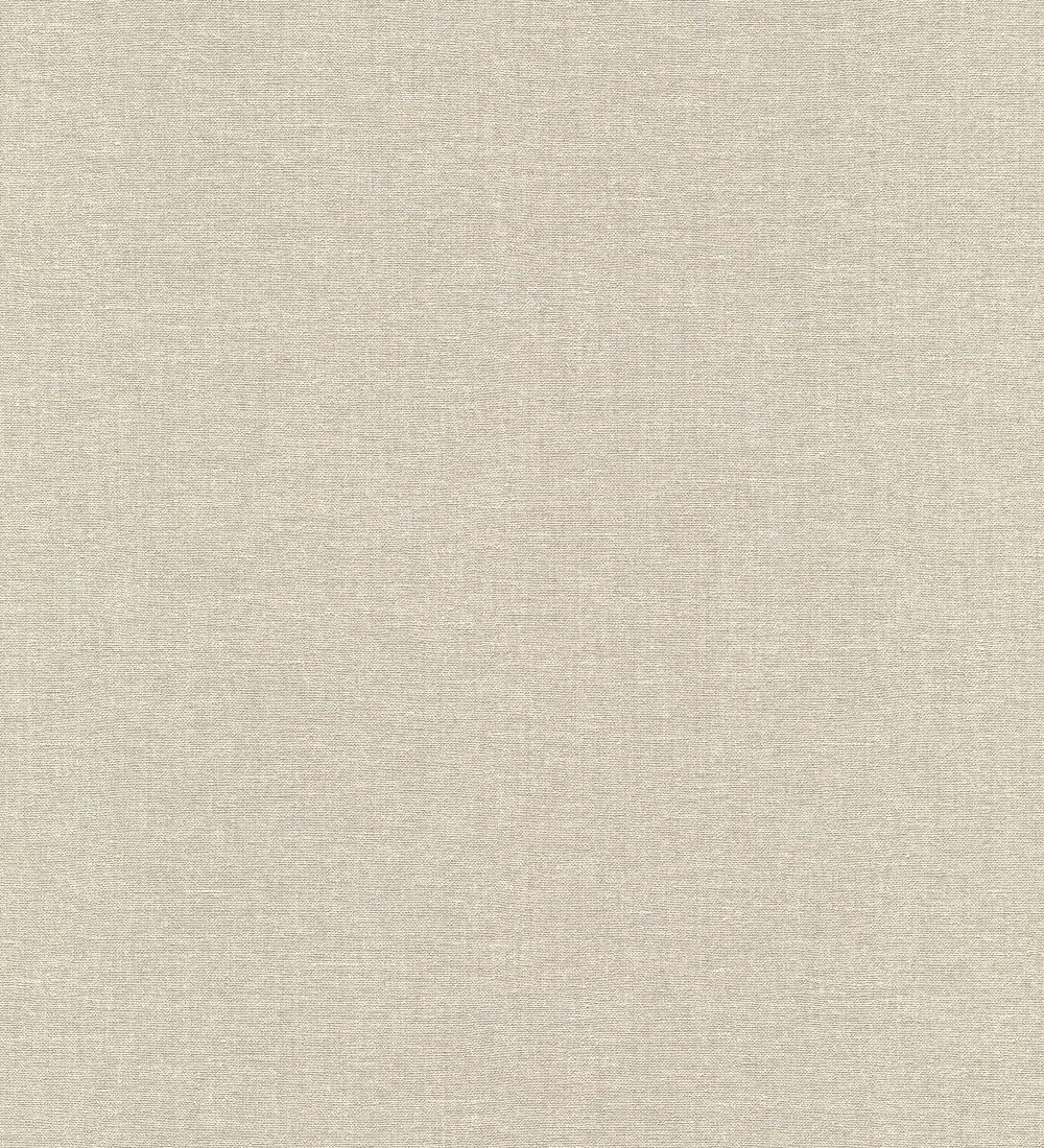 Papel pintado Erismann ColourTexture 10510-38  | 1051038 
