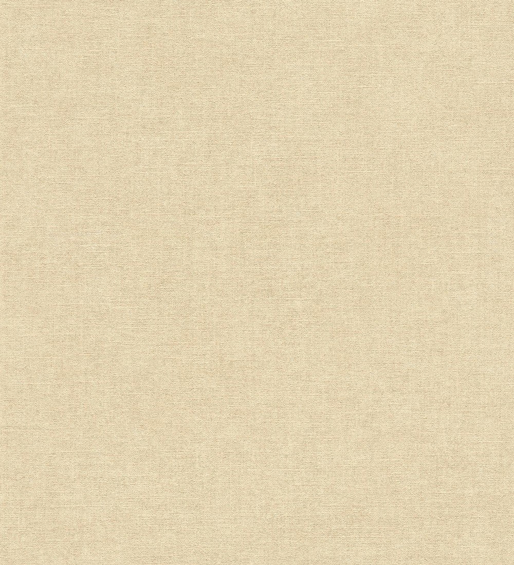 Papel pintado As Creation Infinite Color and Texture ICT44-3956-53  | ICT44395653 