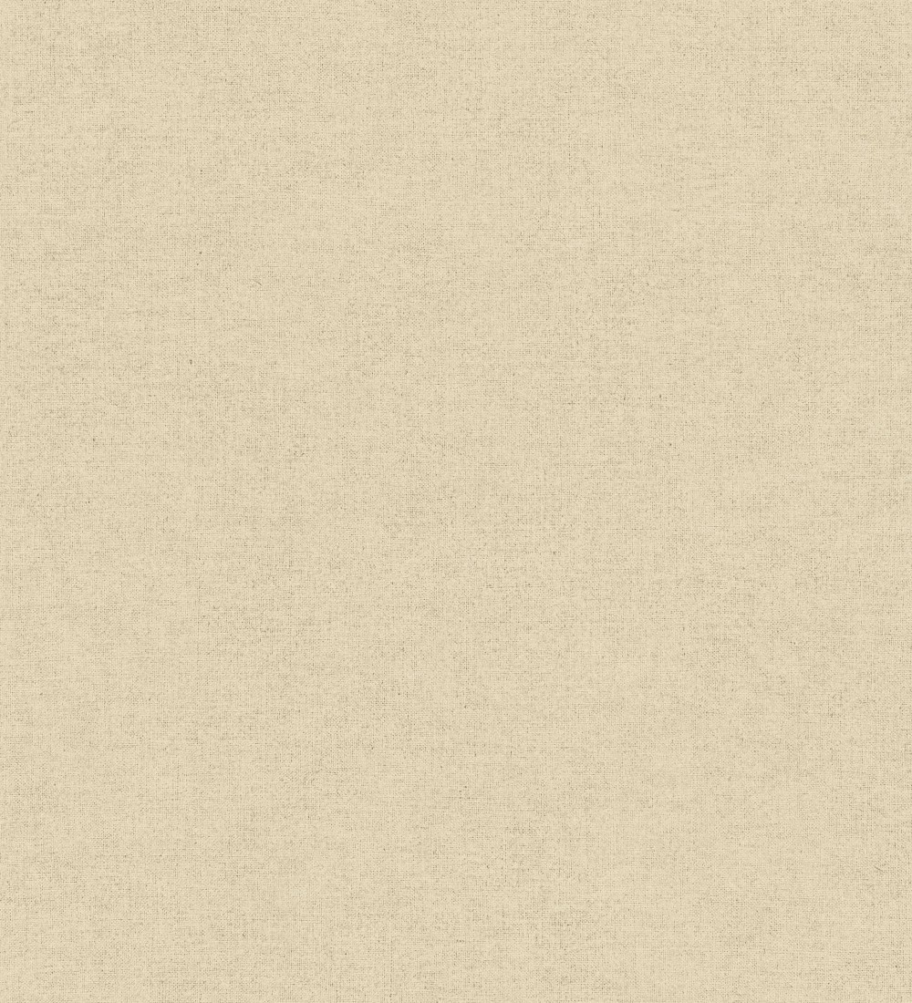 Papel pintado As Creation Infinite Color and Texture ICT50-3672-16  | ICT50367216 