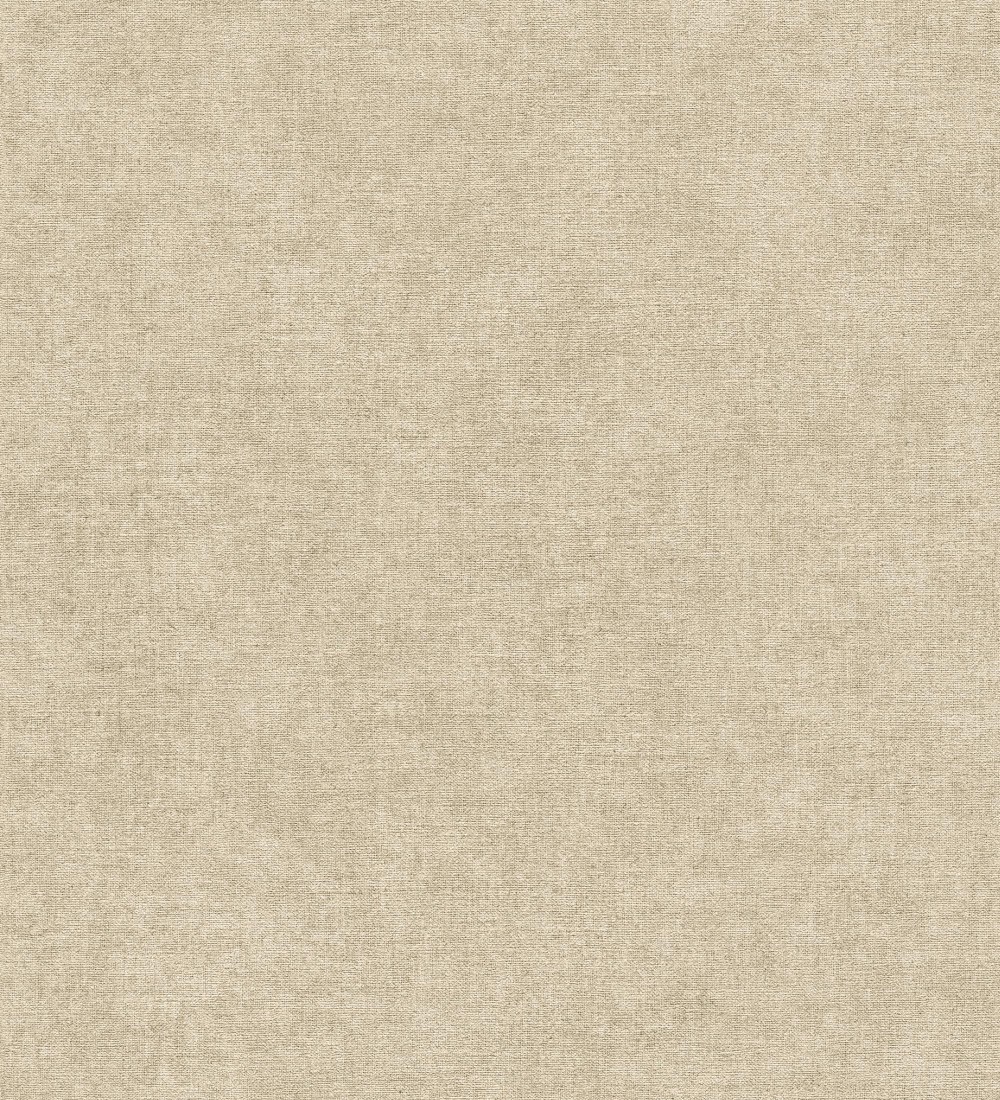 Papel pintado As Creation Infinite Color and Texture ICT51-3956-55  | ICT51395655 