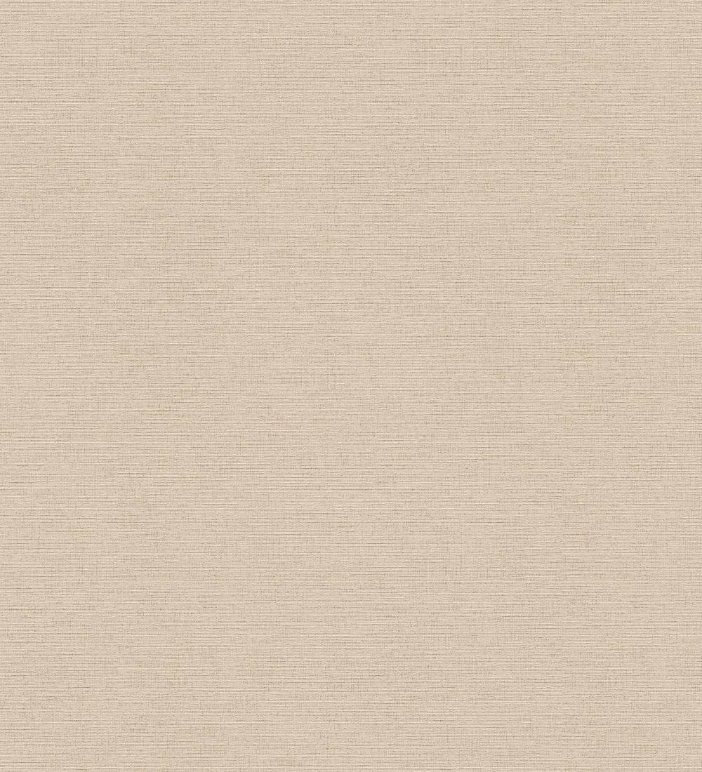 Papel pintado As Creation Infinite Color and Texture ICT64-3909-71  | ICT64390971 