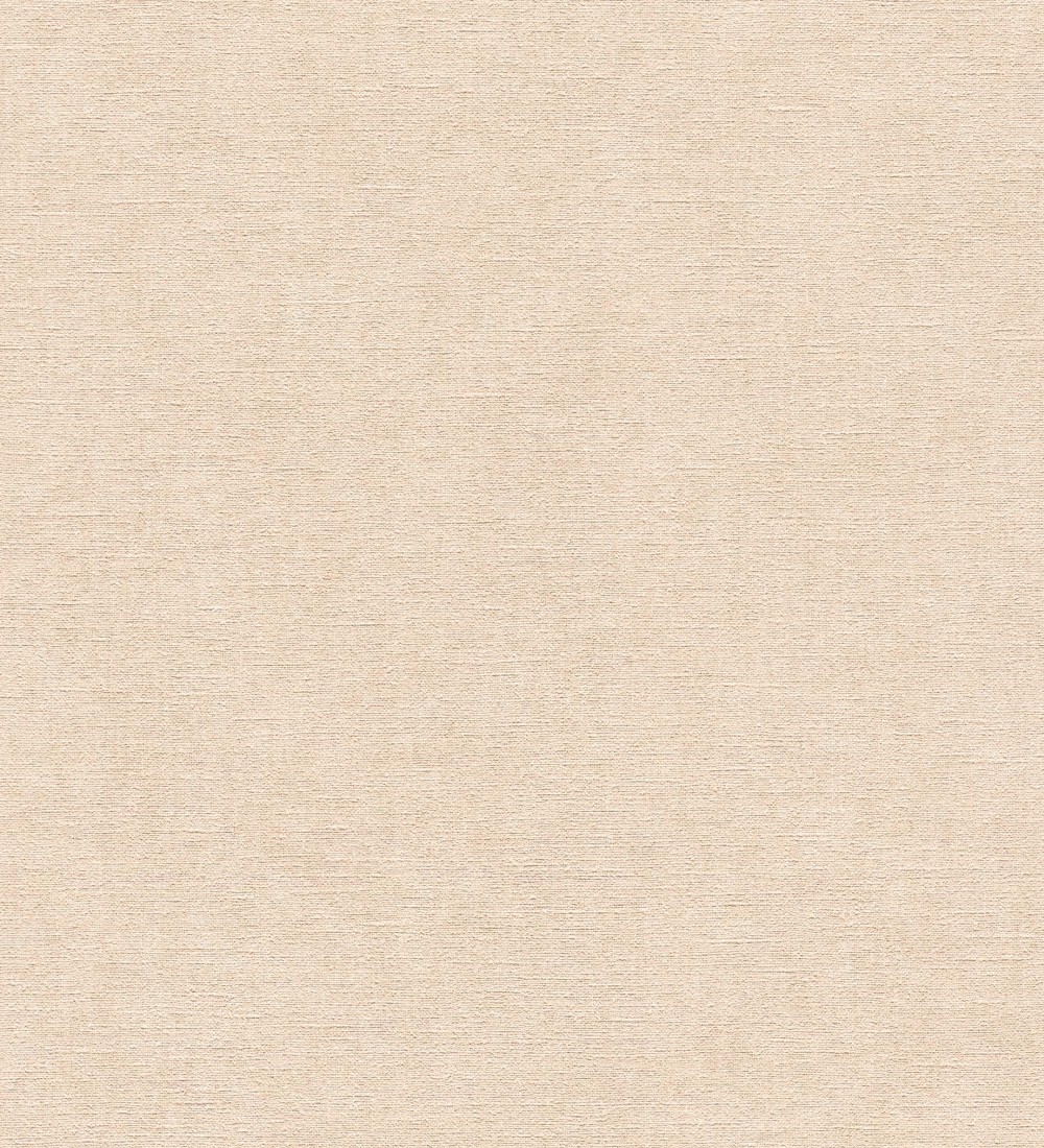 Papel pintado As Creation Infinite Color and Texture ICT70-3956-56  | ICT70395656 